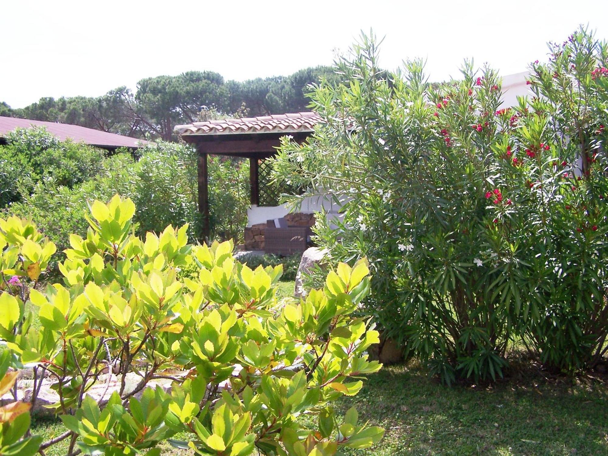 Hotel Club Ragno D'Oro Olbia Tempio エクステリア 写真